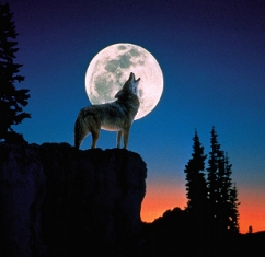 Why on Earth Do We Listen to Those Who Cry Wolf?